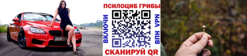 Галлюциногенные грибы Psilocybine cubensis  Циолковский 